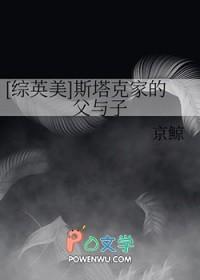 综英美斯塔克家的父与子绿丁丁