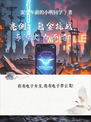亮剑攻略大全