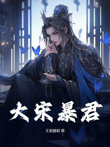 大宋暴君赵构无删减版