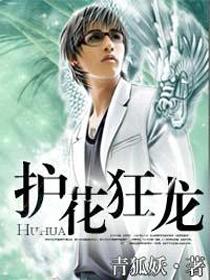 护花狂龙的女主角简介
