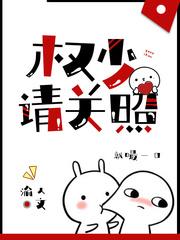 权少请关照免费